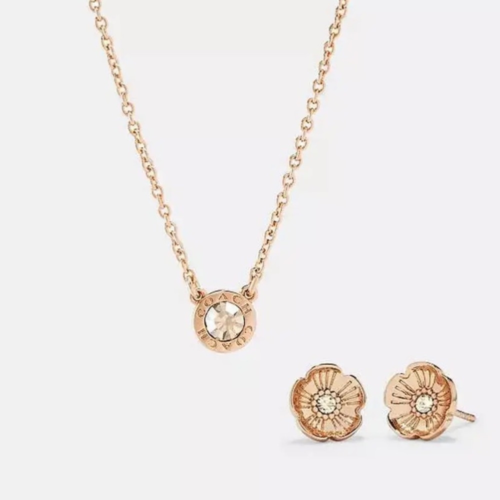 COACH Open Circle Necklace & Rose Tea Stud Earrings Set